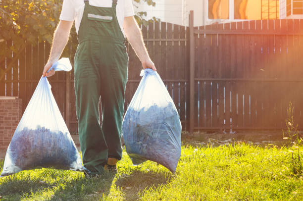 Best Same-Day Junk Removal  in Lexington, MS